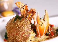 Shimmering Sand Crab 金沙螃蟹