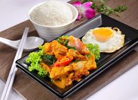 Curry Chicken Cube Rice 咖哩鱼鸡丁饭