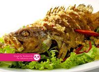 Steam Red Snapper with Cai Po 菜甫蒸红哥里