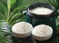 Steamed Rice 五常米饭