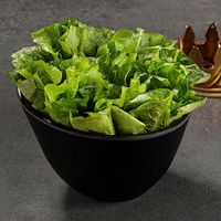 Leaf Lettuce 油麦菜