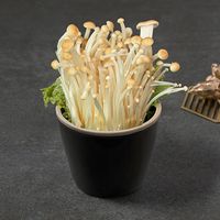 Golden Enoki Mushroom 金色金针菇