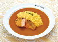 204. Fried Salmon Omelet Curry