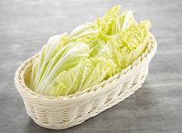 Tianjin Cabbage