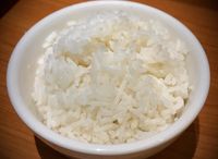 Rice 米饭