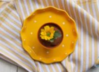 Flower Pot Tiramisu