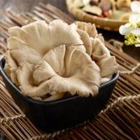 Abalone Mushrooms 鲍鱼菇